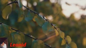 Ты одна такая Дмитрий Королёв