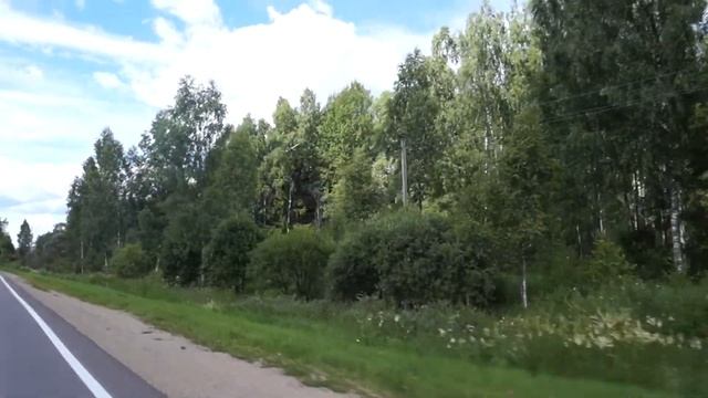 Белый аист на трассе в Калужской области смотреть онлайн