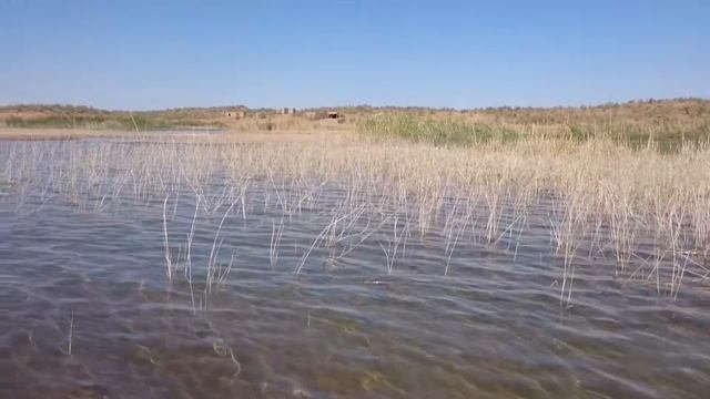 Пляж на озере Айдаркуль