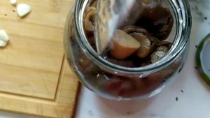Грибы. Как мариновать грибы? Боровики, грузди, рыжики.