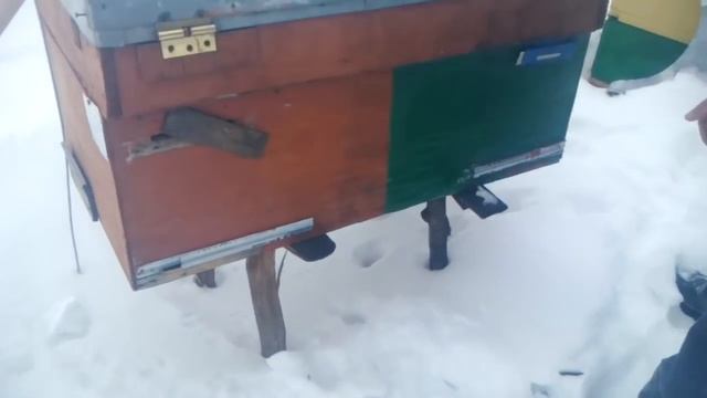 Зимовка пчел в ульях с фанеры и ДВП?УЛЬЯ  7 ЛЕТ В РАБОТЕ?
