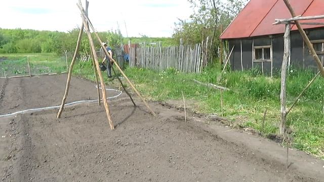 ПЕРВАЯ РЫБАЛКА. Сажаю бахчевые и не только. смотреть онлайн