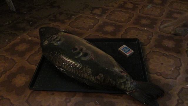 MVI_2125 смотреть онлайн