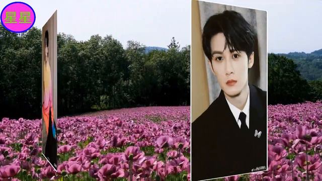 演员涨粉量最高TOP10！赵露思仅拿第6，第一名公认有演技和流量