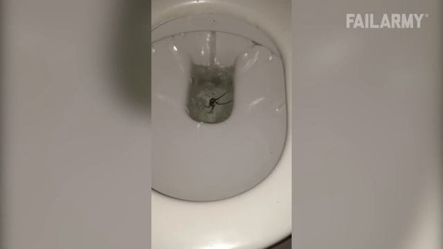смешная подборка видео