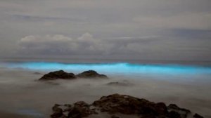 Светящийся планктон на пляже острова Ваадху, Мальдивы.