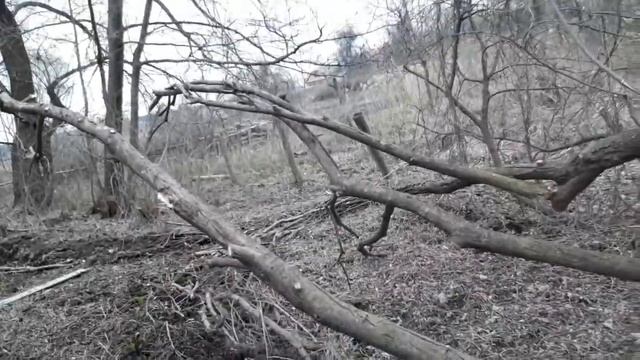Пермакультура. Холмистые грядки. Кратерный сад на южном склоне. Другие сеют  - у нас уже всходы