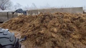 Рабочий день на ферме