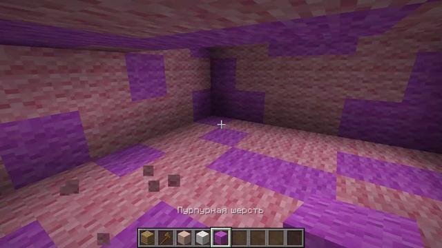 ЧТО НАХОДИТСЯ ВНУТРИ ЖИТЕЛЯ В МАЙНКРАФТ 100% ТРОЛЛИНГ ЛОВУШКА MINECRAFT ЖИТЕЛЬ ИЗНУТРИ