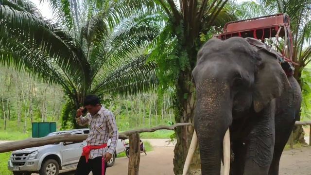 Кхао Лак Khao lak Экскурсия смотреть онлайн
