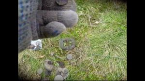 коп потеряшек в ВОРОНЕЖСКОЙ ОБЛАСТИ