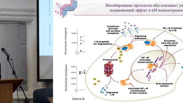 Vrd схема миелома