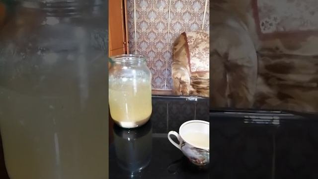 Сурица. Мощная и эффективная чистка организма. Шрот Расторопши.