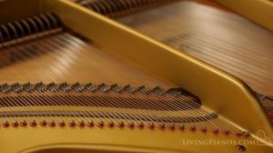 Used Estonia Model L190 Grand Piano for Sale - Used Pianos for Sale