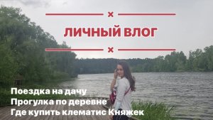 Прогулка по деревне / где купить клематис Пурпуреа плена элеганс