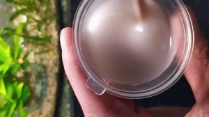 ЧТО БУДЕТ ОРТОФОСФОРНАЯ КИСЛОТА И ЭПОКСИДНАЯ СМОЛА