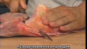 Мастер-класс по кухонным ножам. Часть 6. Филейный нож