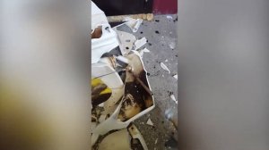 Разбиваю унитаз молотком *разбительство*
