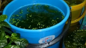 Переезд с аквариумом. Как перевезти аквариум? Как правильно переехать с аквариумом без потерь?