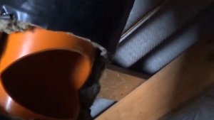 Разрыв вытяжной трубы для уменьшения тяги в зимовнике