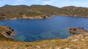 Звуки природы