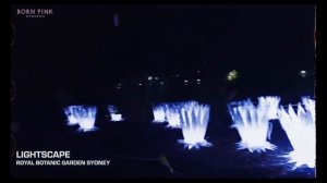 «B.P.M. Roll» с Blackpink, эпизод 29