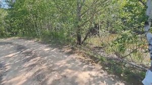 Хабаровск шале на воде