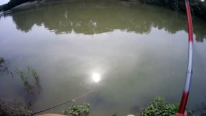 КАРАСЬ! ЧЕХОНЬ! ПОДЛЕЩИК! Исследуем огромную яму на р. Кубань!