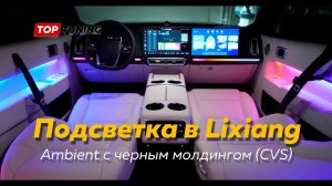 Подсветка салона Ambient CVS для Lixiang L7, L8, L9 (Li Auto)