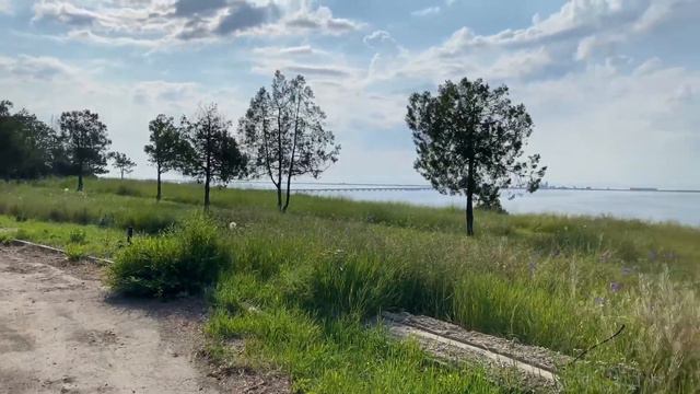 На Лавандовые поля под Одессой! #Lavender #Сергеевка, #Курортное, #Marinfourcorners #Marinbikes