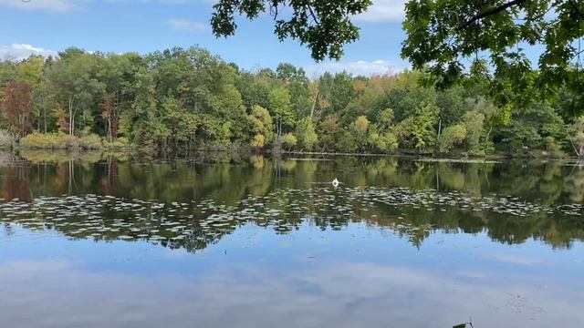 "Как тебя мне рассказать стихами", Слава Гауфберг смотреть онлайн