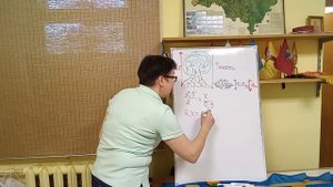 ВПР математика 6 класс. К4.В1. Задание 5. про дерево и растущий рядом куст.