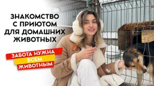 Приют для животных в Краснообске под Новосибирском. Знакомство с жителями приюта.