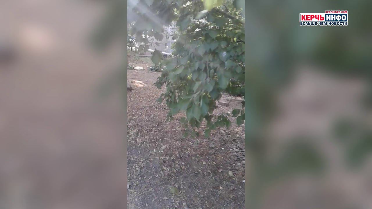 Керчане просят Путина разобраться с «Керчьтеплокоммунэнерго» смотреть онлайн