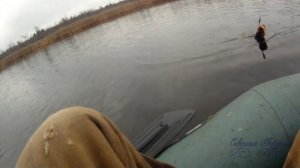 Ловля щуки осенью. Озеро в болоте. Спиннинг.  Вспоминая 2017