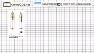 Вопрос №3 § 30. Динамометр - Физика 7 класс (Перышкин)