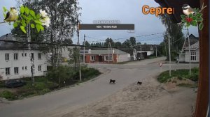 Онлайн камера в п.Демянск , Россия, Новгородская обл