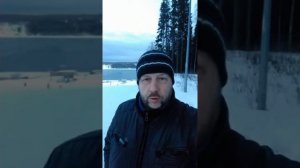 Почему в Библии нет упоминания кошки?