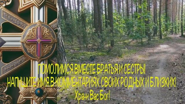 ?Молитва СЕГОДНЯ † ПРЯМО СЕЙЧАС РАДИ БОГА НЕ ПРОПУСТИ ЭТУ МОЛИТВУ. Вечерние молитвы на ночь.?