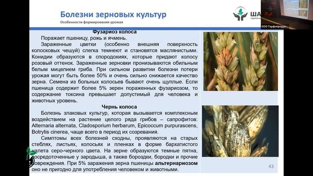 Селезнев А Н , Надежная и комплексная защита зерновых и ярового рапса смотреть онлайн