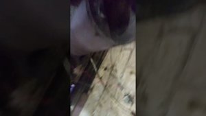 Печь закрытого безопасного типа на отработке 2