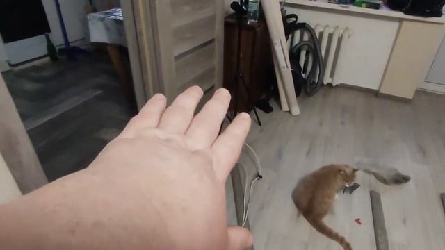 РЕМОНТ продолжается/Купили НОВЫЕ плинтуса/МУЖ готовит макароны в духовке/ смотреть онлайн