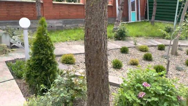 Лирик не идёт, а пишет… смотреть онлайн