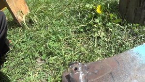 Сделал защиту поддона двигателя на гольф 4 за 2 часа!