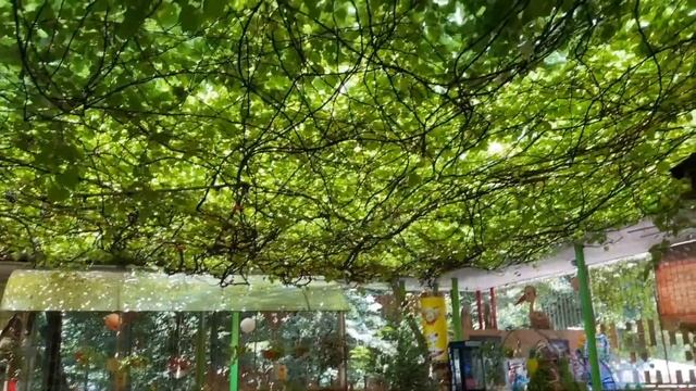 ЧЕРНОВЦЫ. Главный конкурент Львова. Что посмотреть? Куда сходить? Самые крутые места!