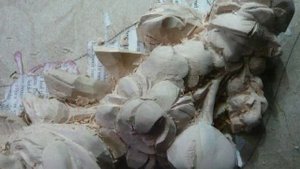 WOODCARVING ( PART 1) :Limewood Foliage Carving ( Supraporte )