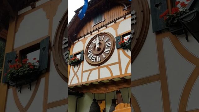 Самые большие часы с кукушкой в мире. смотреть онлайн