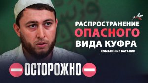 Комариные баталии ⛔️ОСТОРОЖНО⛔️ Распространение опасного куфра!!! Может ли Аллах сесть на комара?