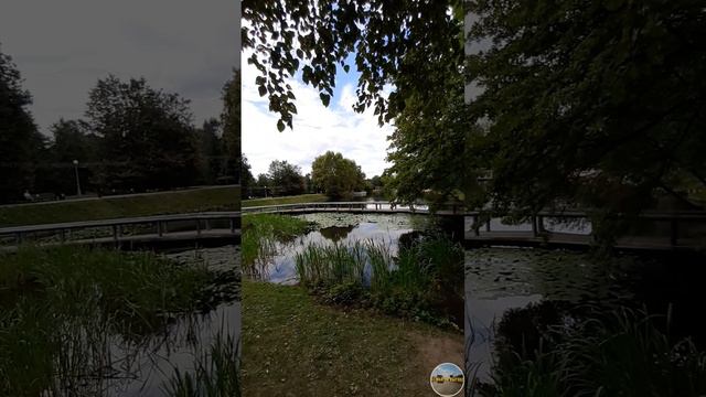 Шум воды. Релакс. Весна не за горами
