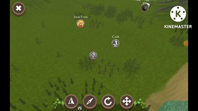 Что делать когда скучно в WildCraft?! 5 идей от скуки